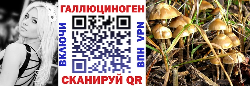 OMG ССЫЛКА  наркотики  Тула  Галлюциногенные грибы MAGIC MUSHROOMS 