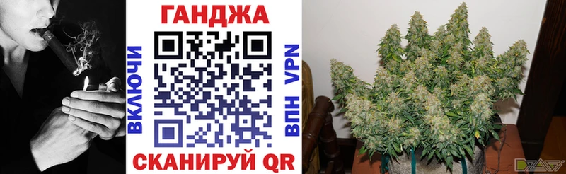 Каннабис SATIVA & INDICA  как найти наркотики  Тула 